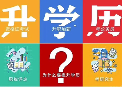 想提升学历报什么专业好？